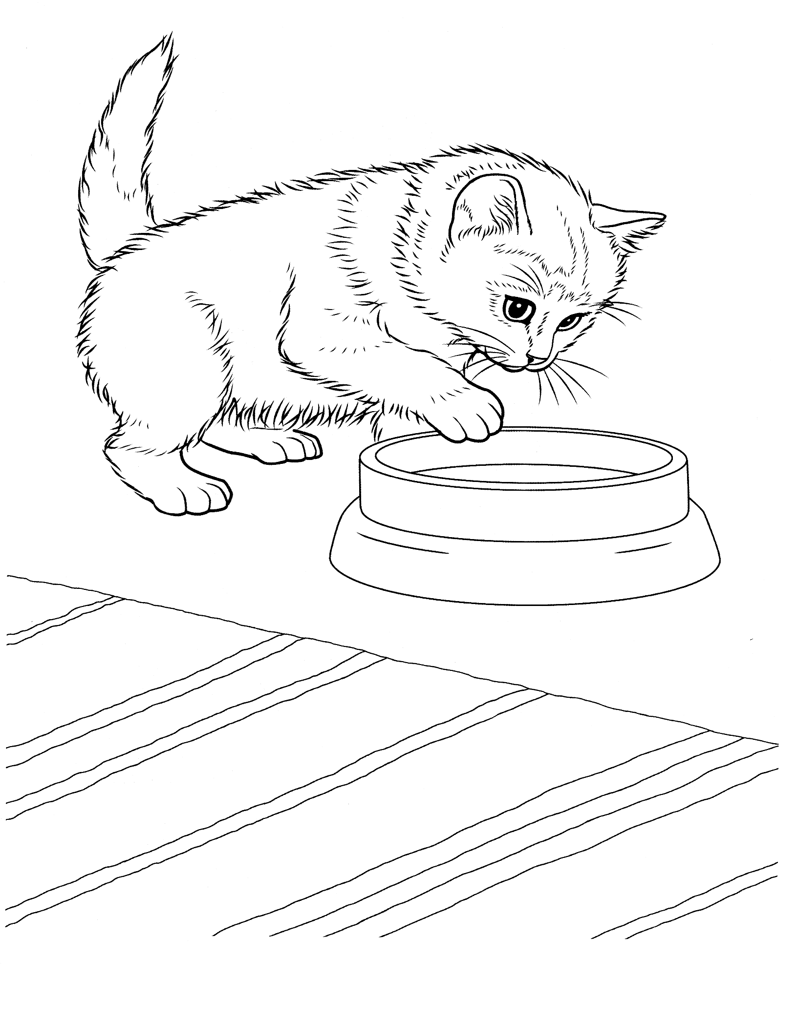 planse desene de colorat pisica